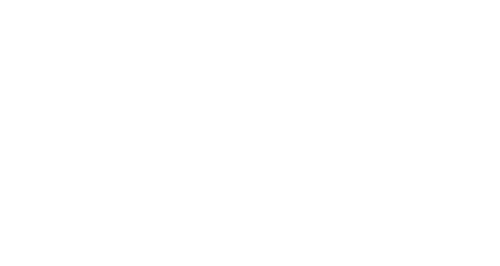 株式会社レヴィンチ